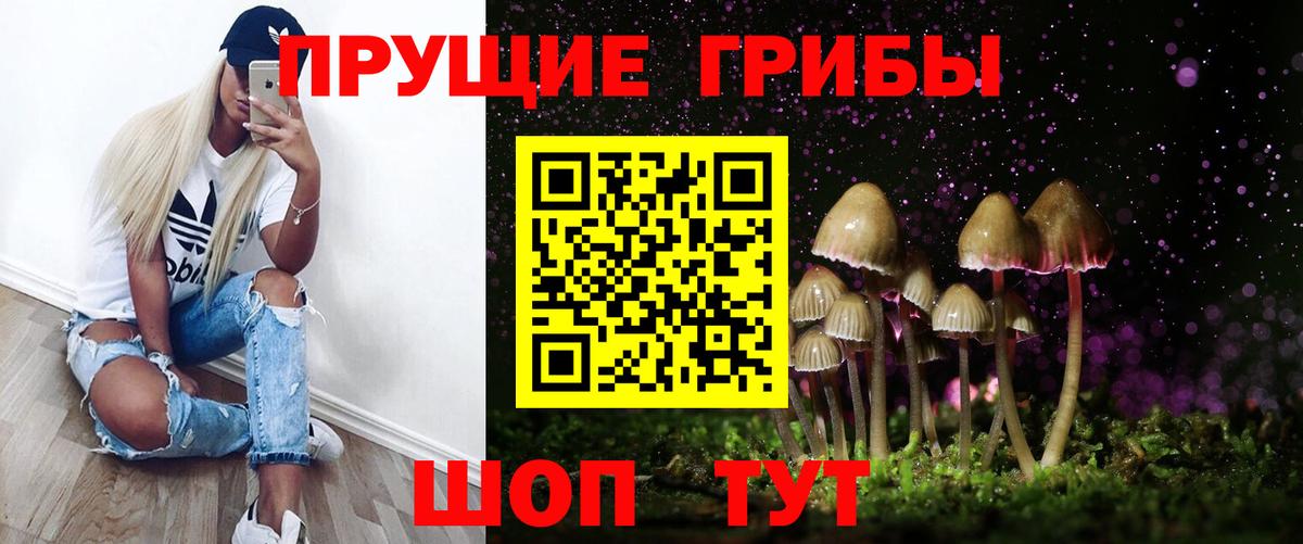 Псилоцибиновые грибы мицелий Верхняя Салда