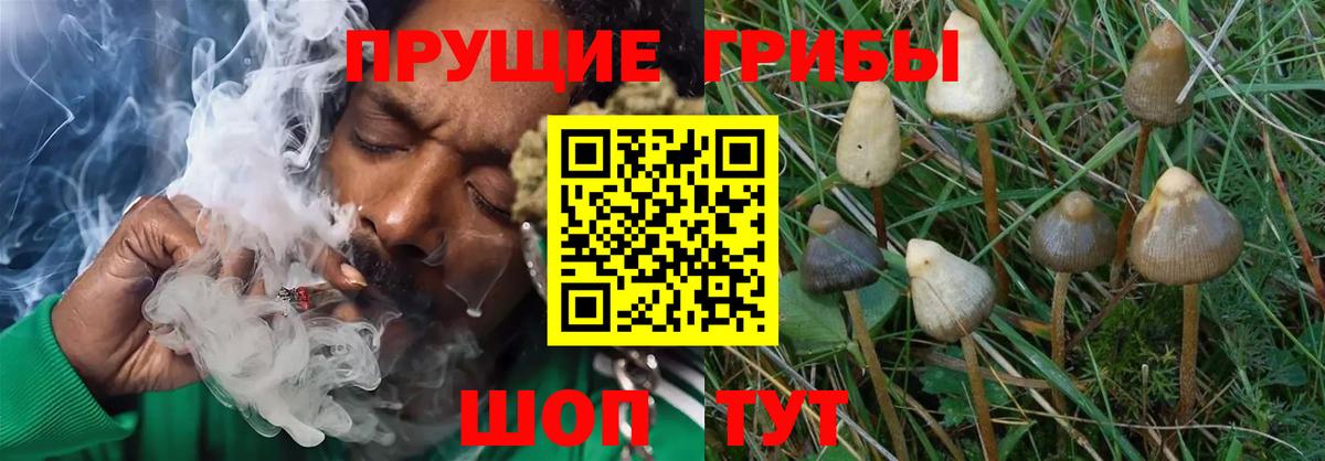 Галлюциногенные грибы Magic Shrooms  Вход с VPN  Верхняя Салда 